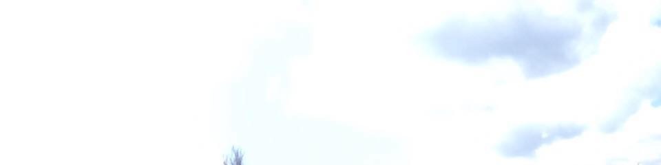 Dror W | Your Teacher | Amphy